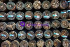 4''x7' Treated Fence Posts Wood