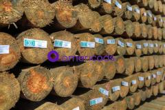 4''x7' Treated Fence Posts Wood - 2